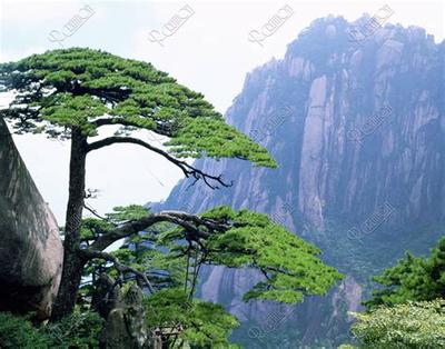 黄道吉日怎么看？开业择日最准确教程