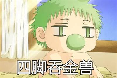 转运必备：金蟾的选购与摆放指南