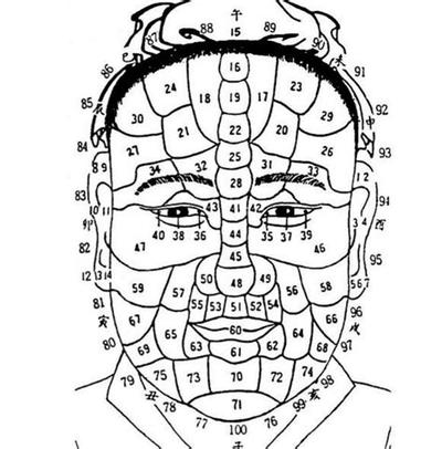 相术入门：通过鼻子了解一个人的事业