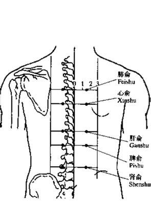 相术入门：通过嘴唇了解一个人的财运